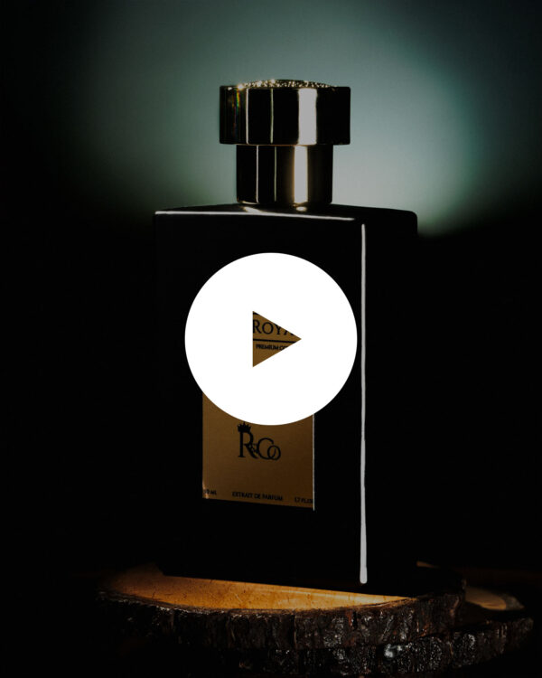 Noir Royale - Image 2